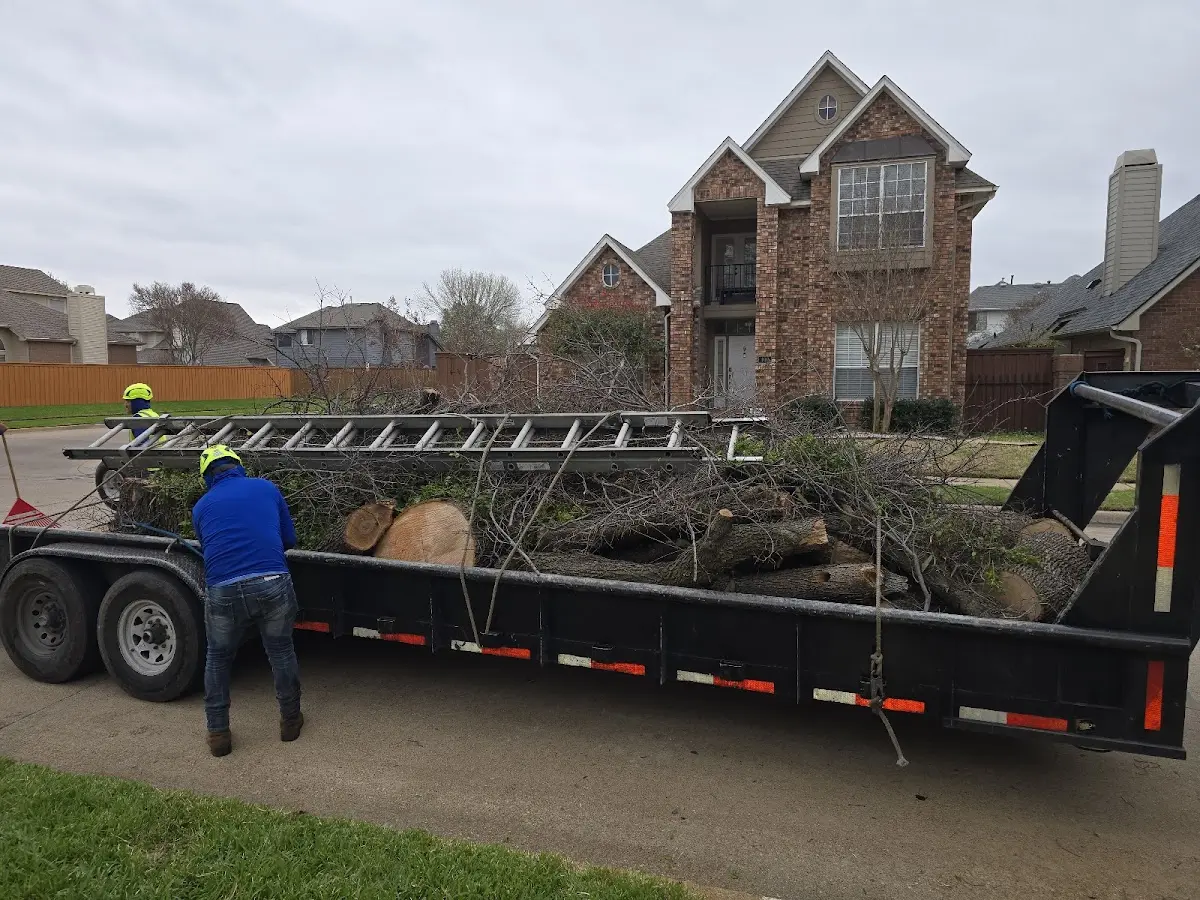 Expert Lot Clearing with proper safety equipment in Bigfork